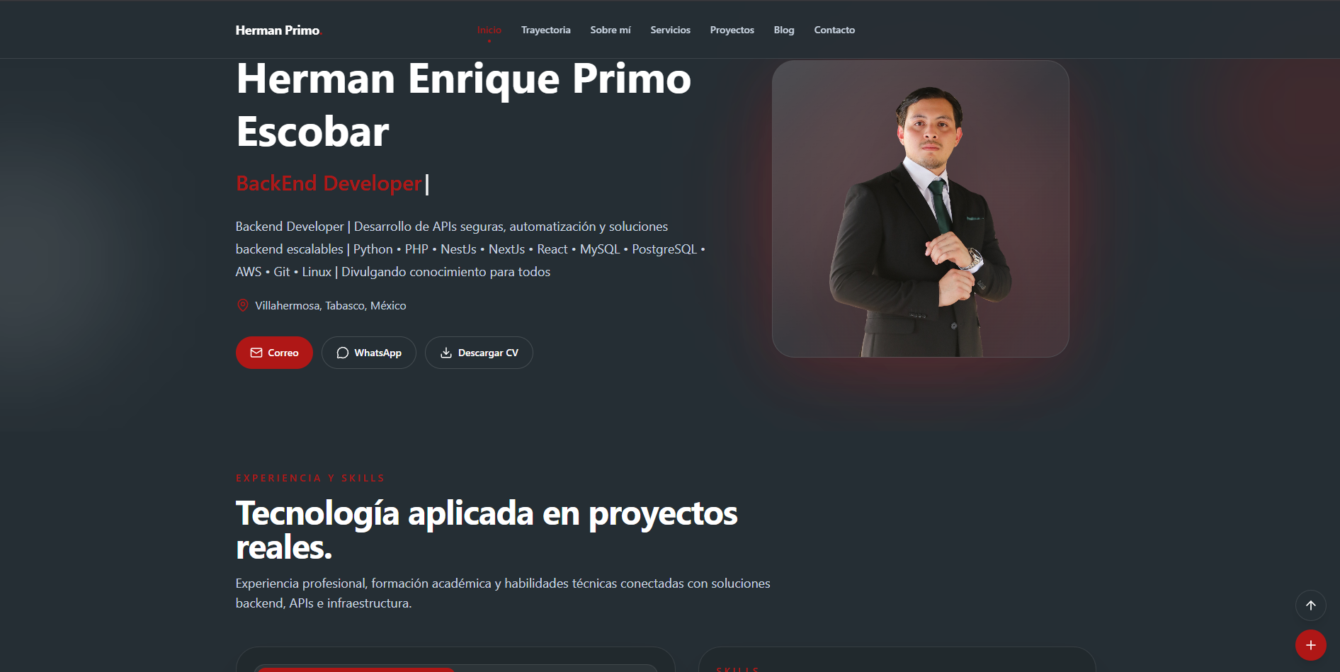Portafolio Profesional